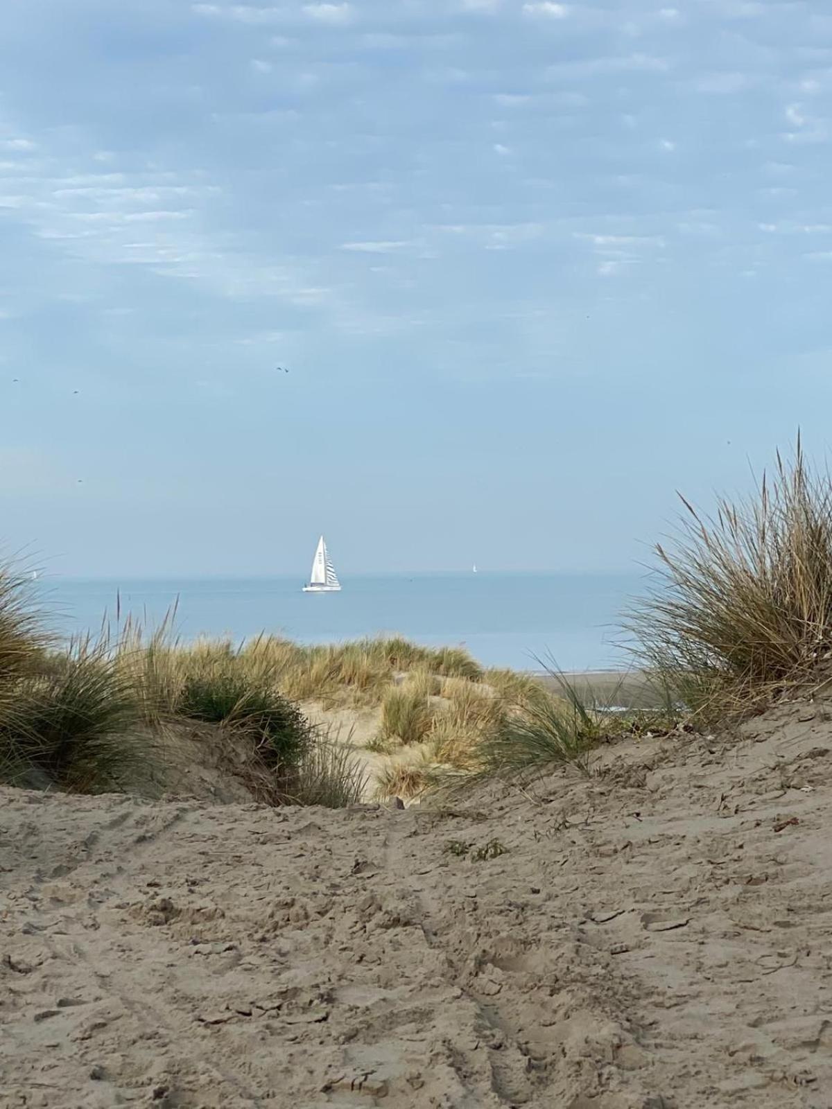 Apartment Beachday I - Opkuis Inbegrepen In De Prijs - Wandelafstand *